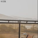 경기도 여주시 대신면 맛집 카페틸린 리뷰추천메뉴가격주차영업시간