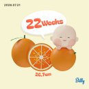 두산환경(주)노동조합 | ㅣ 임신19주~22주 일상들 / 21주 정밀초음파 후기 / 임산부 교통비 지원 / 임산부 친환경농산물 지원사업