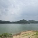 용인그린 | 용인 그린웨일 카페 솔직 후기 시끄러움 주의