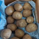 대 중 소 🥔 이미지