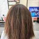 진아헤어샵 네이버블로그