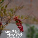 내가온 이미지