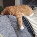 대구탕전문점 이미지