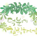 러브퀼트퀼트 이미지