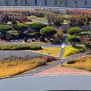 청사큰길 이미지