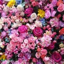 장미유통 이미지