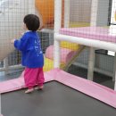천사친구 어린이집 앞 | 대부도 키즈펜션 | 가성비 좋은 산이펜션 방6개 6가족 어린이집 방학 놀러가기 24시간 온수풀