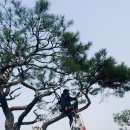 상록농장 이미지