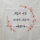 [부산 연산동 속눈썹] 작은눈 꼬막눈 속눈썹 연장 비포 애프터 &#39;리니뷰티&#39;