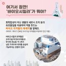 폴루스글로벌 | [카드뉴스] 2019년 청년친화강소기업은 어디? 2탄