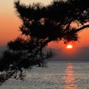 동백섬의 일출 이미지