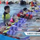 서울오정초등학교 이미지