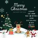 [낭니 라이프] 2024.12.17