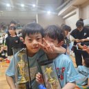 진인태권도장 이미지