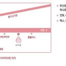 피브엔의원 이미지