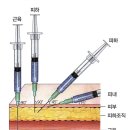 원주간호학원 이미지