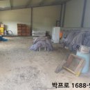 도흥길 2 이미지