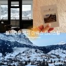 융프라우 펜션 | 스위스 그린델발트 가성비 숙소 융프라우 로지 아넥스 크리스탈 아이거뷰 호텔 추천