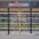 으뜸50안경 분당정자점 이미지