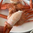 [경주 감포] 한반도 회대게 직판장, 뷰 좋고 시설 깨끗한 식당