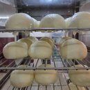 터미널수제만두꼬마김밥 다이닝코드