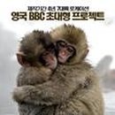 그린원라이프