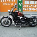 데이스타 이미지