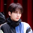 테스타 이미지