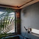 스테이 다래 이미지