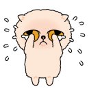 보리향기 네이버블로그