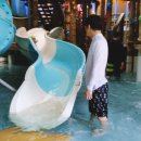성동장 이미지