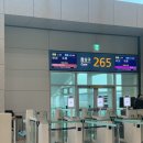 감성짱급수종이접기 | 첫 해외혼여는 삿포로❄️🩵 (2025.11.17~11.20)