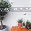 예스투데이 이미지