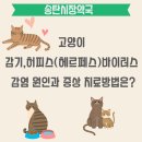 송탄시장약국 이미지