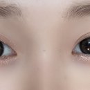 안경나라사창점 위드렌즈 이미지