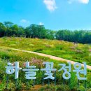 초안산 하늘꽃정원 이미지