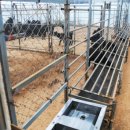 흑염소농장 이미지