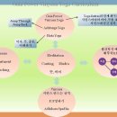 Gaia Power Vinyasa Yoga Teacher Trainings 이미지