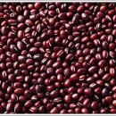 운동으로 지키는 관절 건강 이미지