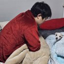 유성대학약국 | 노견 물렁이 간병일기1 염증수치 측정불가.. 대체 무엇이문제니