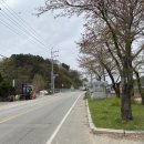 동학산공원(14호) 테니스장 | 경기둘레길 양평 27코스, 28코스, 29코스, 30코스 _ 2023.04.15