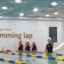 노블스위밍랩 by 키즈라이프 이미지