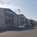 엠티브이6로 네이버블로그