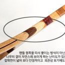 금린 이미지