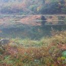 응애농원 이미지