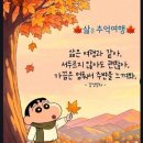 추억여행 Daum카페