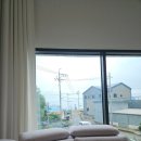 오션나비드풀빌라 | 경북 포항애견동반가능 독채풀빌라펜션 오션나비드풀빌라 내돈내산후기