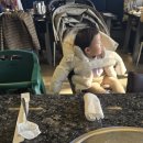 본수원갈비 병점점 이미지