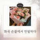 만발 | 화곡 카네이션 꽃다발 후기 손끝에서 만발하다