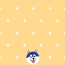 (주)컴퍼니와우
